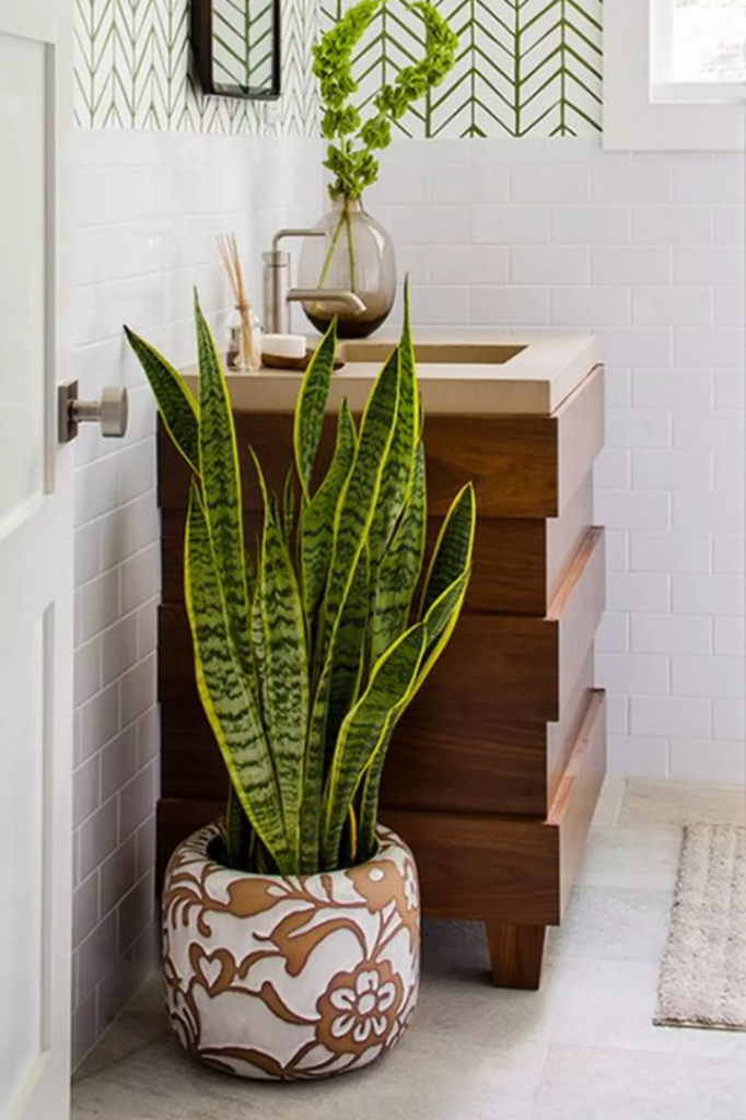 Em Vasos de Cerâmica Artesanal: Cores e Texturas Vibrantes - detalhe