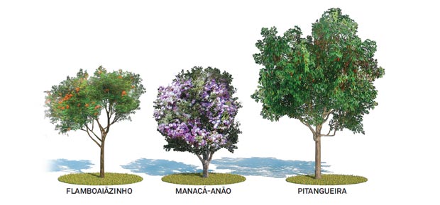 Estilo Minimalista: Árvores com Formas Esculturais - detalhe