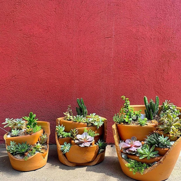 Terrário Rústico em Potes de Barro: Simplicidade Aconchegante - detalhe