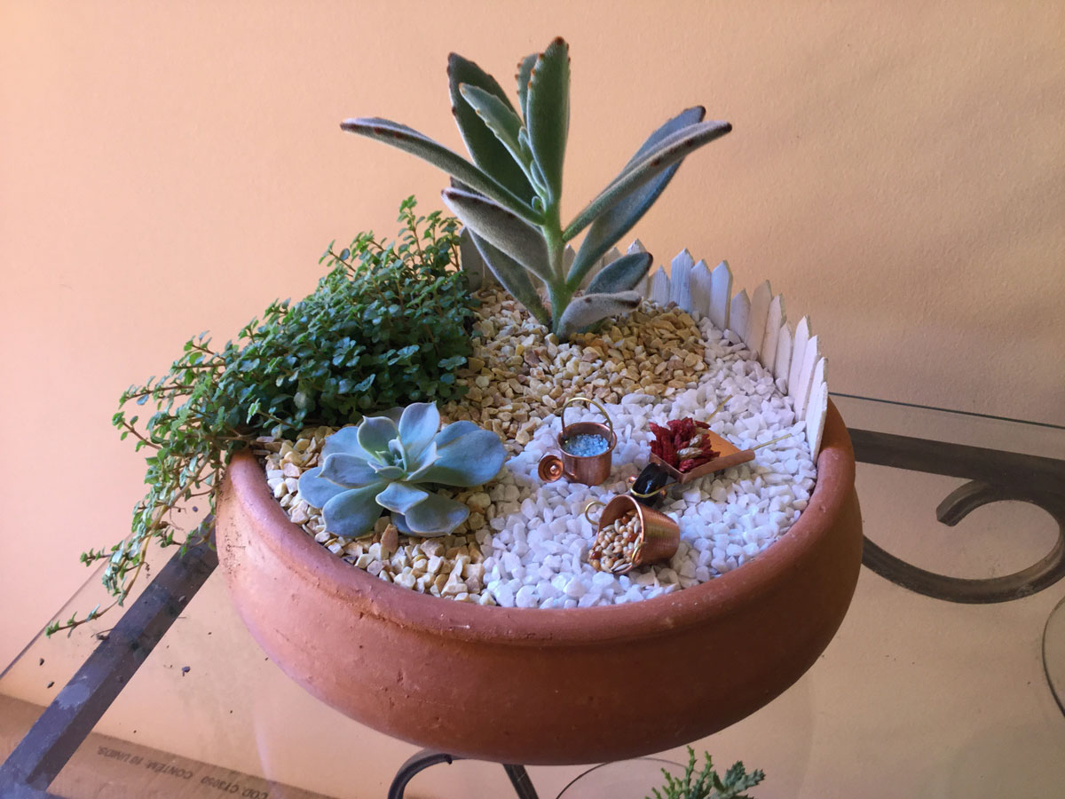 Jardim de Contêineres Criativo com Vasos de Cerâmica Decorados - detalhe