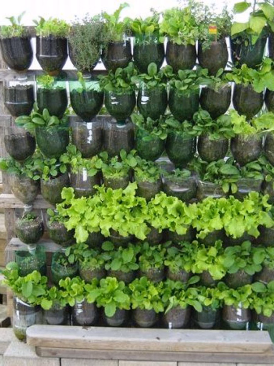 Jardim Vertical com Garrafas PET: Recicle e Decore com Estilo! - ideia