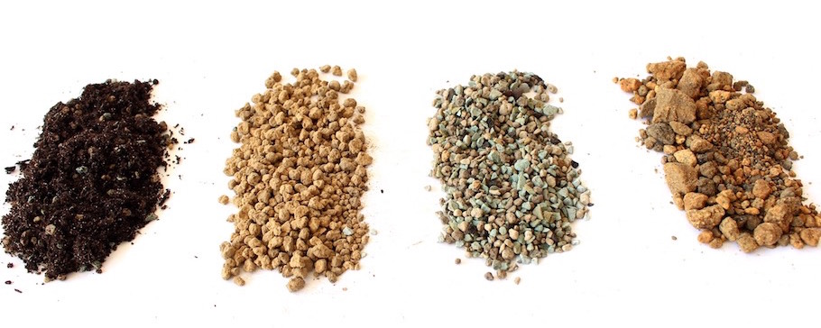 Mistura Caseira com Areia Grossa para Bonsais Saudáveis e Esculturais - inspiração