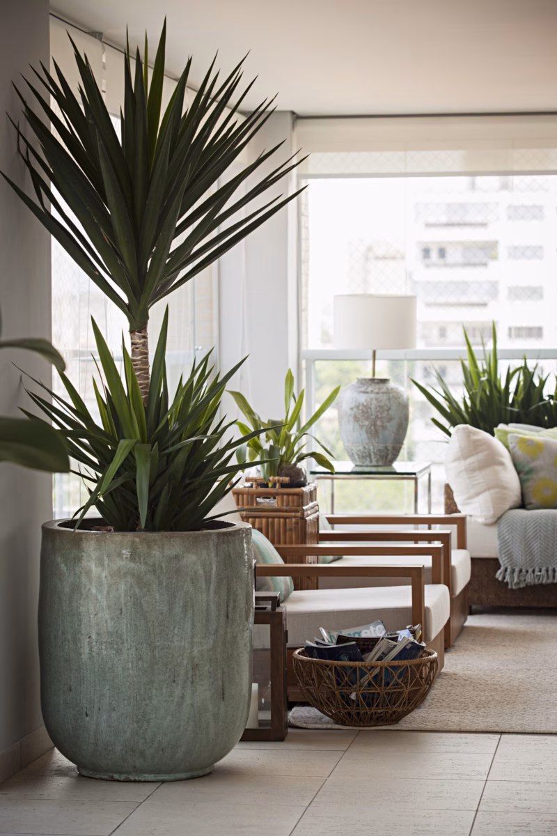 Com Plantas Grandes e Vasos de Cimento - inspiração