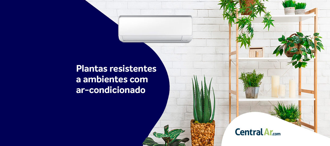 Ar-Condicionado Split e Plantas: Um Oasis Tropical Dentro de Casa - ideia