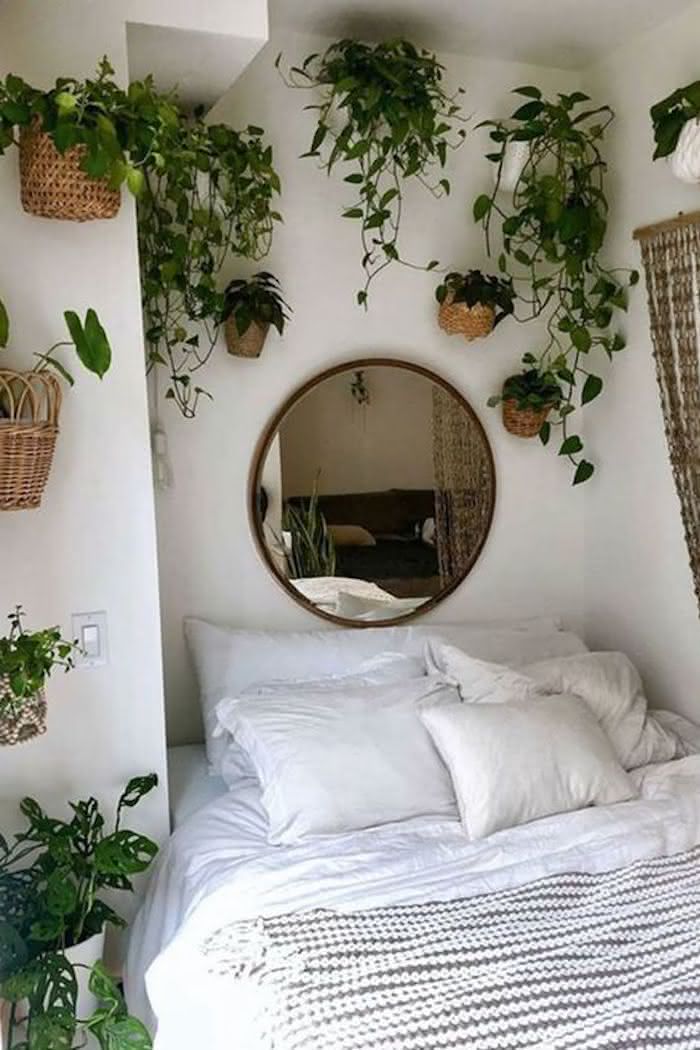 Urban Jungle: Decoração com Plantas Suspensa e Cama Aconchegante - ideia