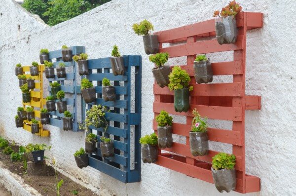 Jardim Vertical com Garrafas PET Recicladas - detalhe