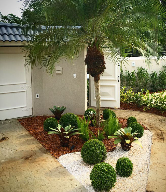 Buchinhos Iluminados: Destaque Noturno no Jardim - detalhe