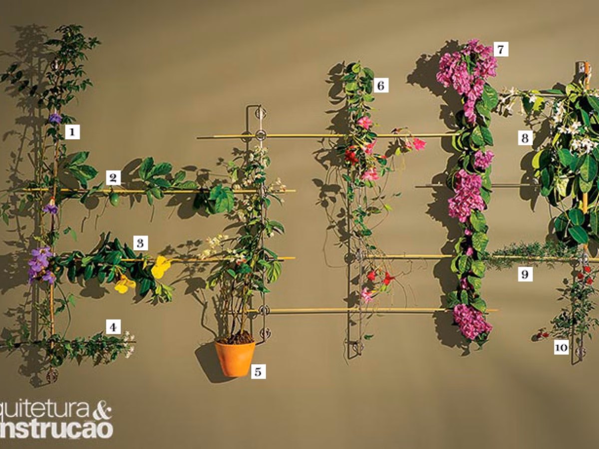 Minimalismo Verde: Pergolado com Trepadeiras de Folhagem Esculpida - ideia