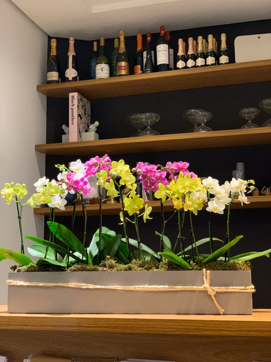 Design Exótico com Flores de Orquídeas Mini - ideia