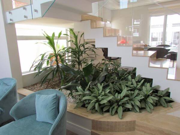 Mini Selva Urbana com Pacovás: Exuberância em Espaços Compactos - detalhe