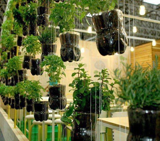 Com Garrafas PET: Recicle e Decore com Estilo - ideia