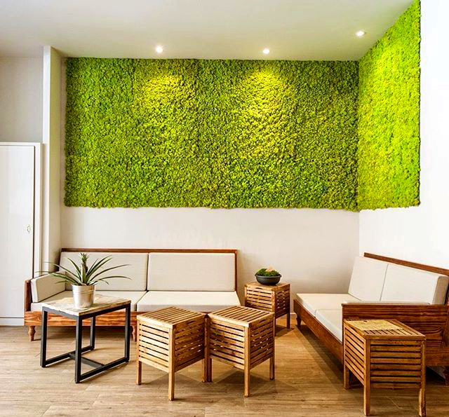 Parede Verde Texturizada com Musgo Preservado: Natureza Imponente e Sofisticada sem Complicação - detalhe