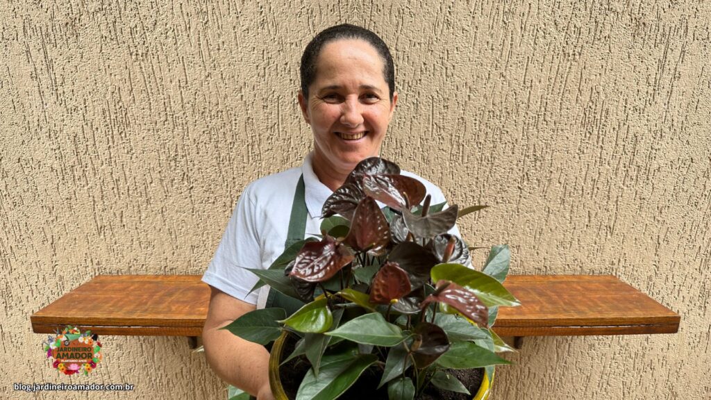 Substrato com Carvão Vegetal para Antúrios com Brilho Intenso - ideia