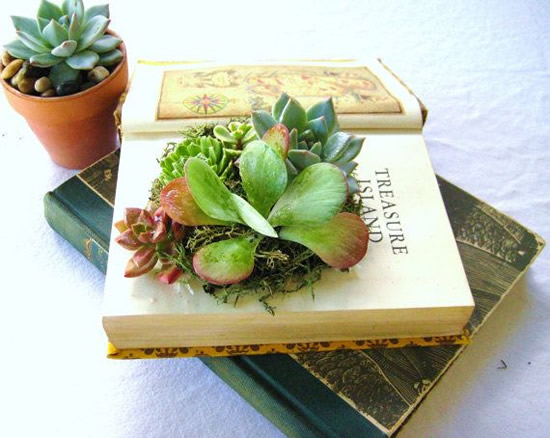 Dentro de Livros Antigos Escavados: Uma Surpresa Literária e Verde - ideia