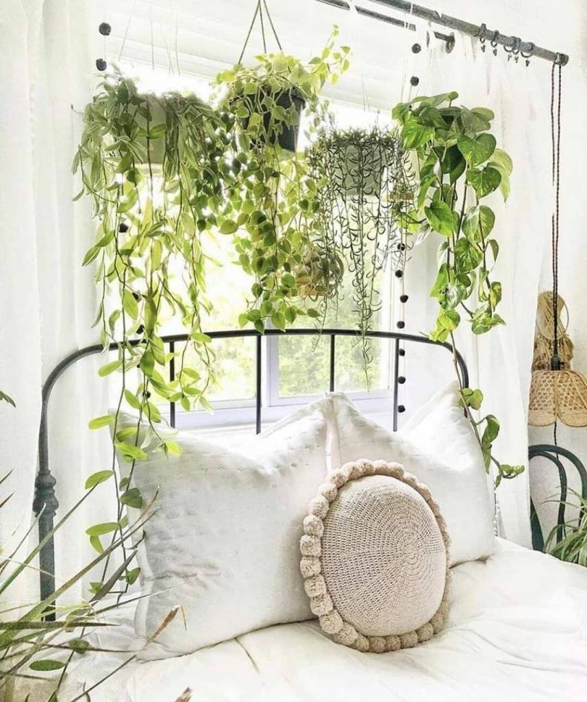 Quarto Feminino com Plantas: Natureza e Frescor no seu Refúgio - inspiração