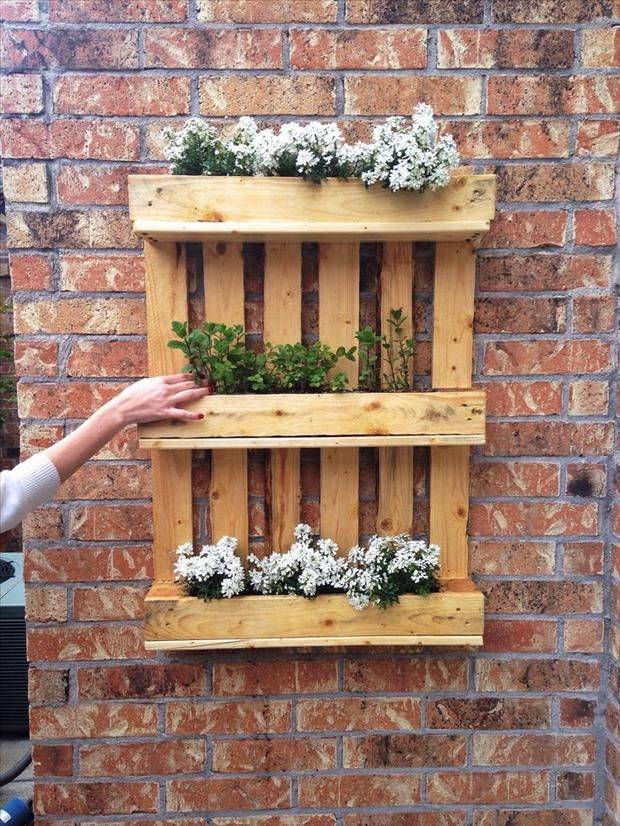Jardim Vertical com Pallets: Beleza Rústica e Aconchegante - inspiração