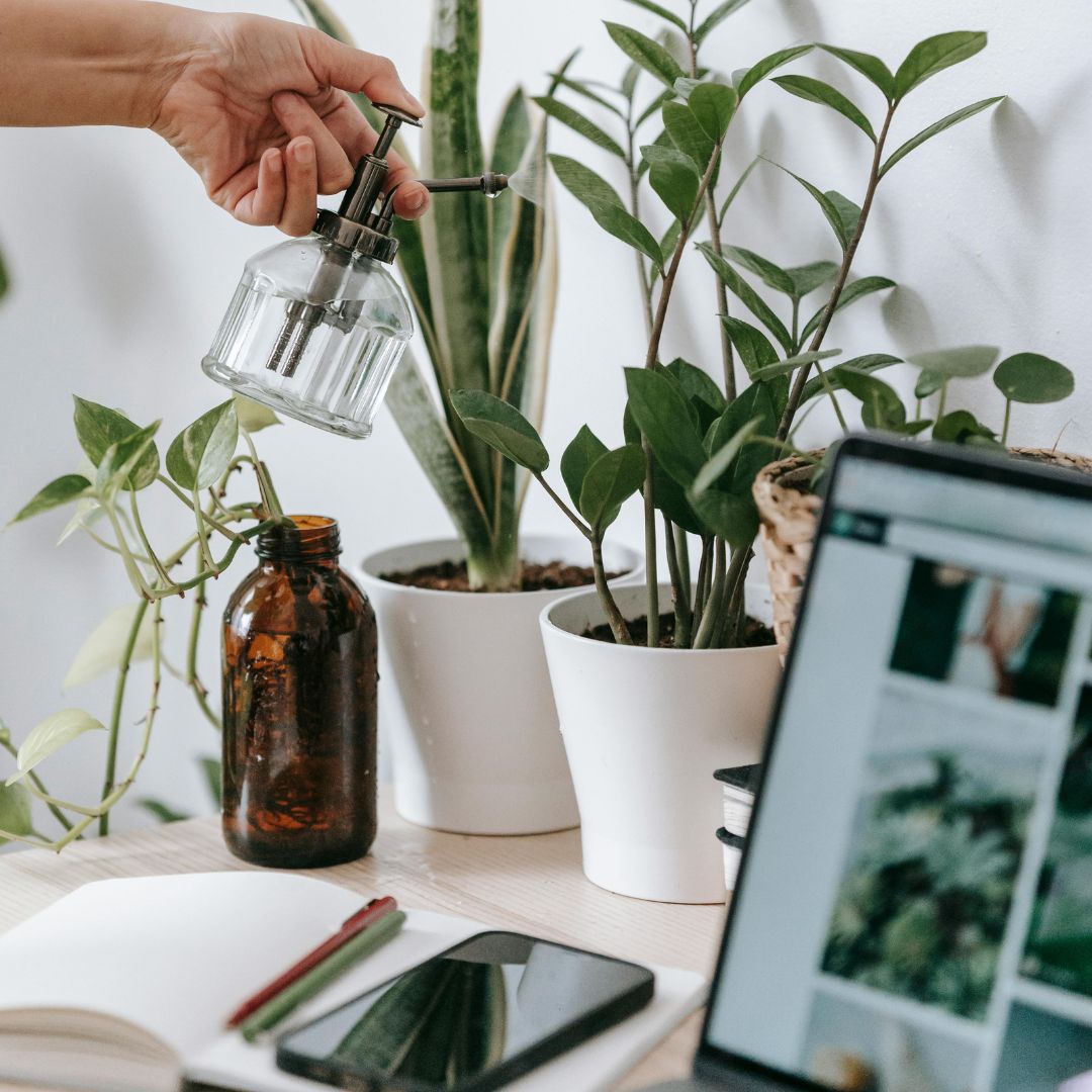 Com Temperos Aromáticos em Potes de Vidro: Sabores à Mão - inspiração