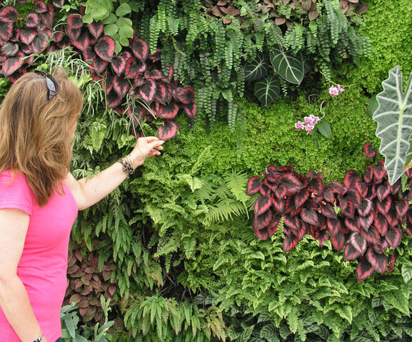 Composição com Texturas e Cores Vibrantes: A Alegria da Biodiversidade! - inspiração