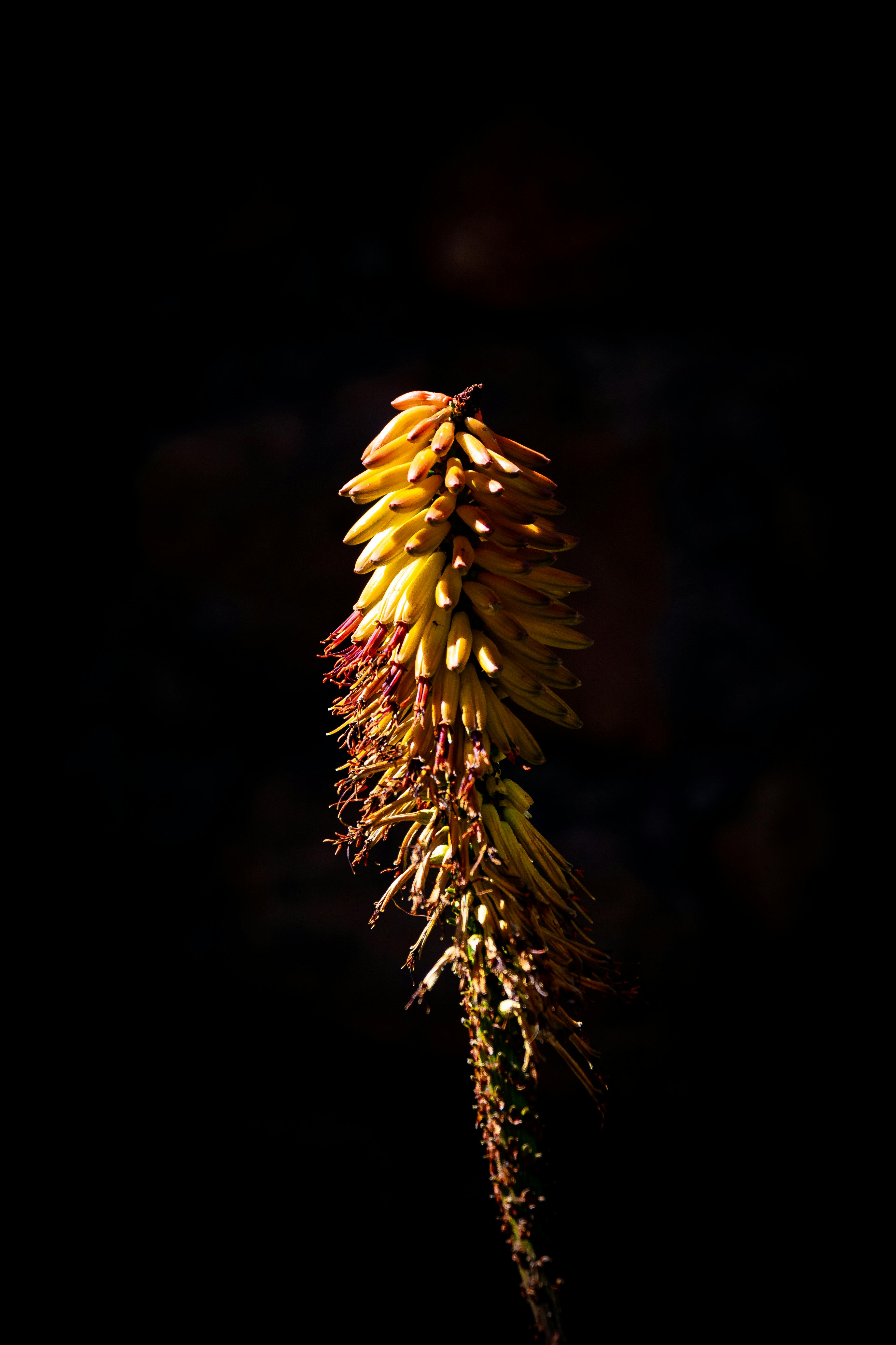 Amaciante Caseiro Potente: Bicarbonato Turbinado com Água Oxigenada - inspiração