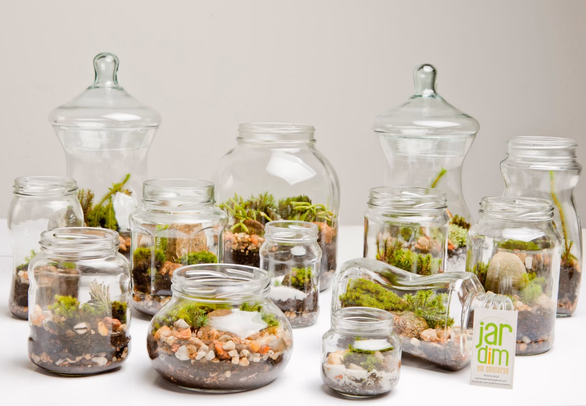 Potes de Vidro Usados como Cachepots para Ervas Aromáticas: Horta em Casa - inspiração