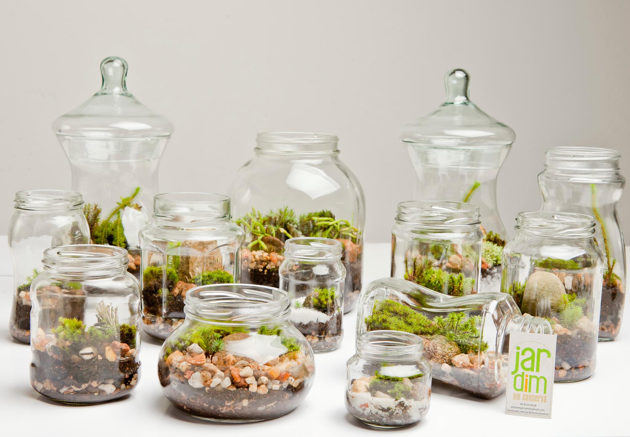 Potes de Vidro Decorados com Musgo e Miniaturas: Um Jardim Encantado - ideia