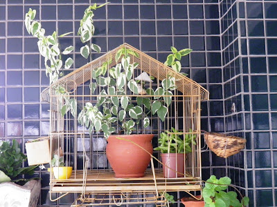 Em Gaiolas Decorativas Repaginadas: Um Toque Romântico e Inusitado - inspiração