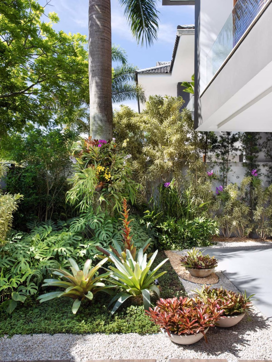 Combinado com Orquídeas e Bromélias - detalhe