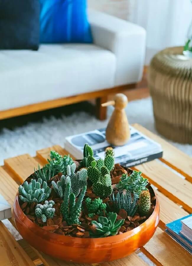 Mesa de Centro com Mini Jardins e Suculentas - inspiração