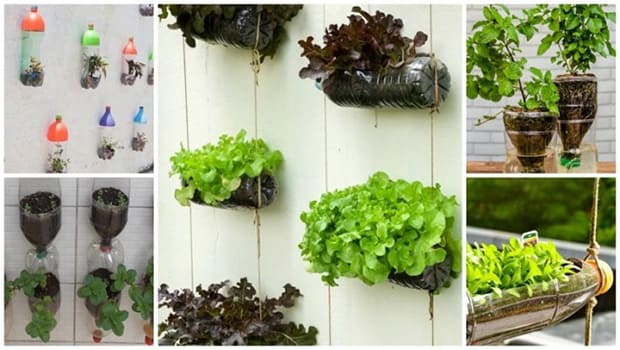 Com Garrafas PET Customizadas: Economia Criativa - inspiração