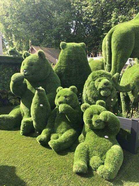 Buchinhos em Vasos Suspensos: Um Toque de Verde nas Varandas - detalhe