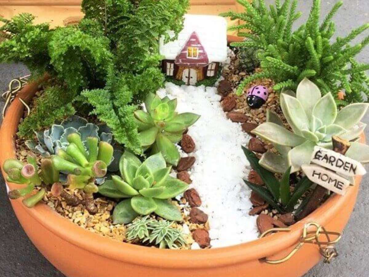 Terrário Fechado com Mini Cactos e Pedrinhas Brancas: Um Ecossistema em Miniatura que Dispensa Cuidados - inspiração