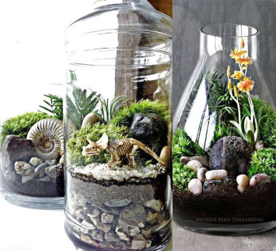 Terrário Reciclado em Garrafão de Vidro: Sustentabilidade Criativa - detalhe