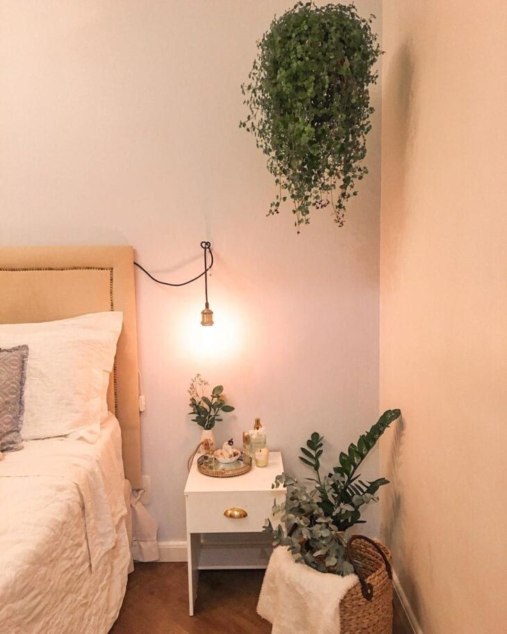 Quarto Feminino com Plantas: Natureza e Frescor no seu Refúgio - ideia