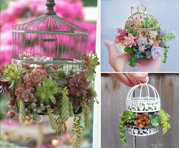 Em Gaiolas Decorativas Repaginadas: Um Toque Romântico e Inusitado - ideia