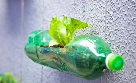 Sustentabilidade em Detalhes: Vedação com Garrafas PET - ideia