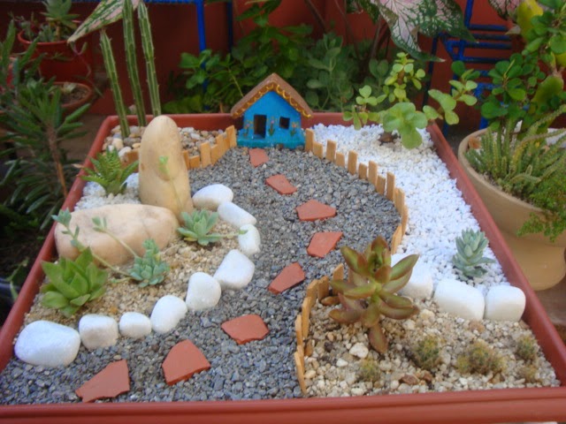 Jardim de Pedras e Suculentas em Terrários: Miniaturas Encantadoras - ideia