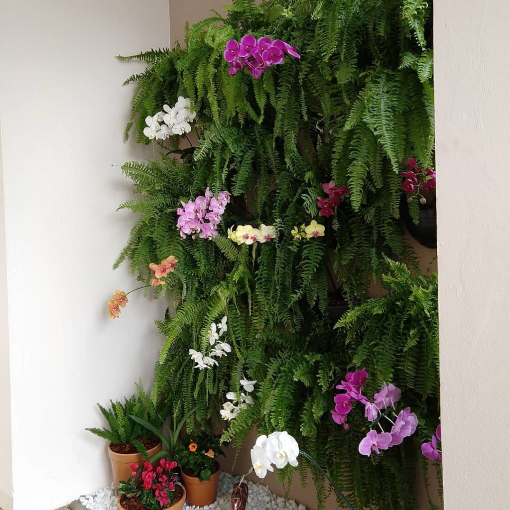 Com Samambaias Pendentes: Um Toque Tropical - ideia