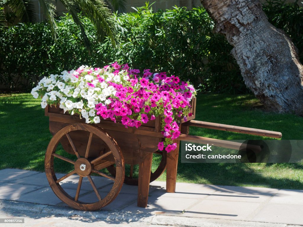 Em Miniaturas de Carrinhos de Mão: Diversão no Jardim - inspiração