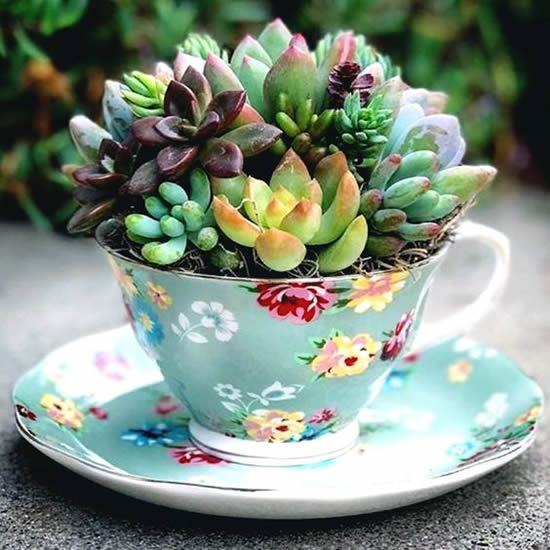 Mini Jardins em Xícaras e Bules: Charme Vintage - ideia