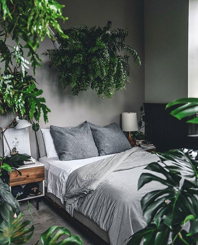 Quarto de Casal Decorado com Plantas Suspensas e Urban Jungle: Natureza Relaxante - detalhe