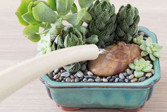 Em Vasos Autoirrigáveis: Praticidade para o Dia a Dia - detalhe