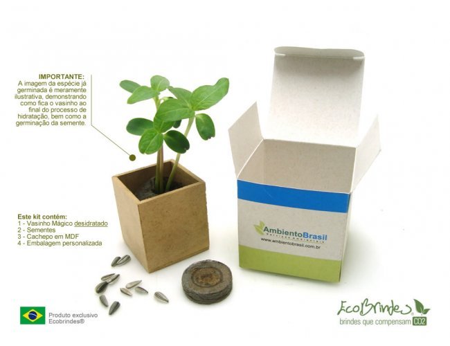 Com Sementes Que Viram Flores e Hortaliças - ideia