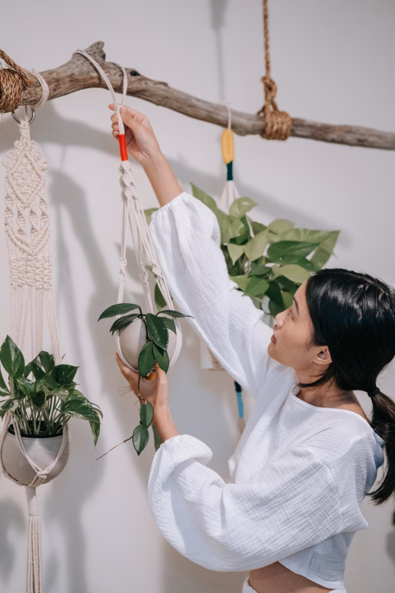 Em Vasos Suspensos Macramê: Estilo Boho Chic - ideia