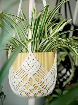 Com Macramê: Um Toque Boho para Seu Verde - detalhe