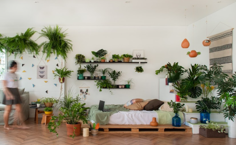 Aconchego Natural: Decoração com Plantas e Elementos que Trazem Vida - inspiração