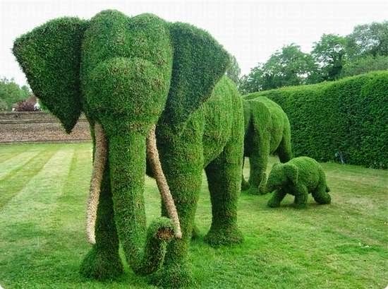 Buchinhos em Topiarias Lúdicas: Esculturas Vivas no Jardim - detalhe