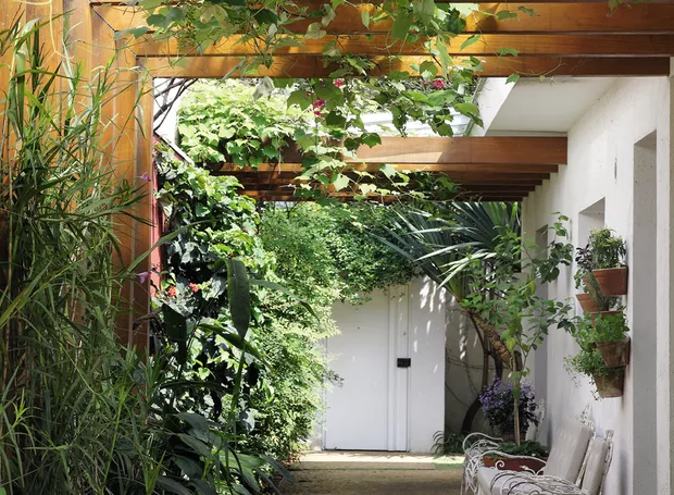 Design Moderno: Estrutura Clean e Trepadeiras Esculturais - inspiração