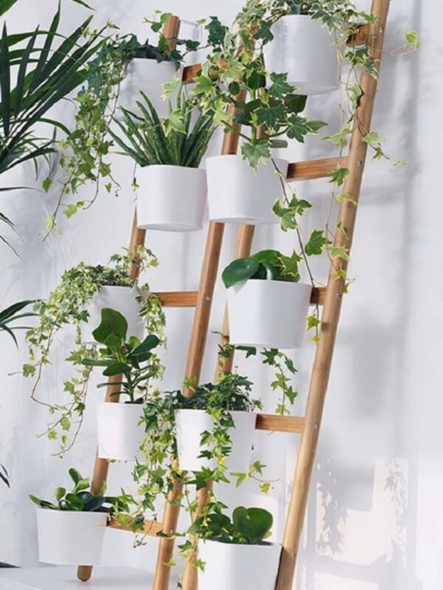 Escada decorativa como suporte: Uma forma original de exibir suas plantas - ideia