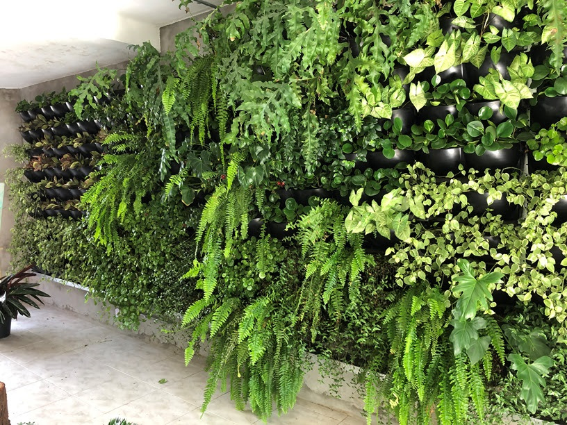 Cantinho Zen com Jardim Vertical e Fonte: Relaxamento Garantido! - inspiração