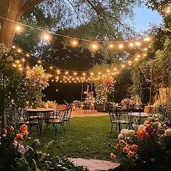 Iluminação Festiva com Cordão de Luzes: Noites Mágicas no Seu Jardim - detalhe